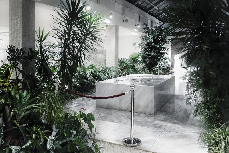 qui fleurit la tombe des tyrans ? blooming tomb of tyrants ?