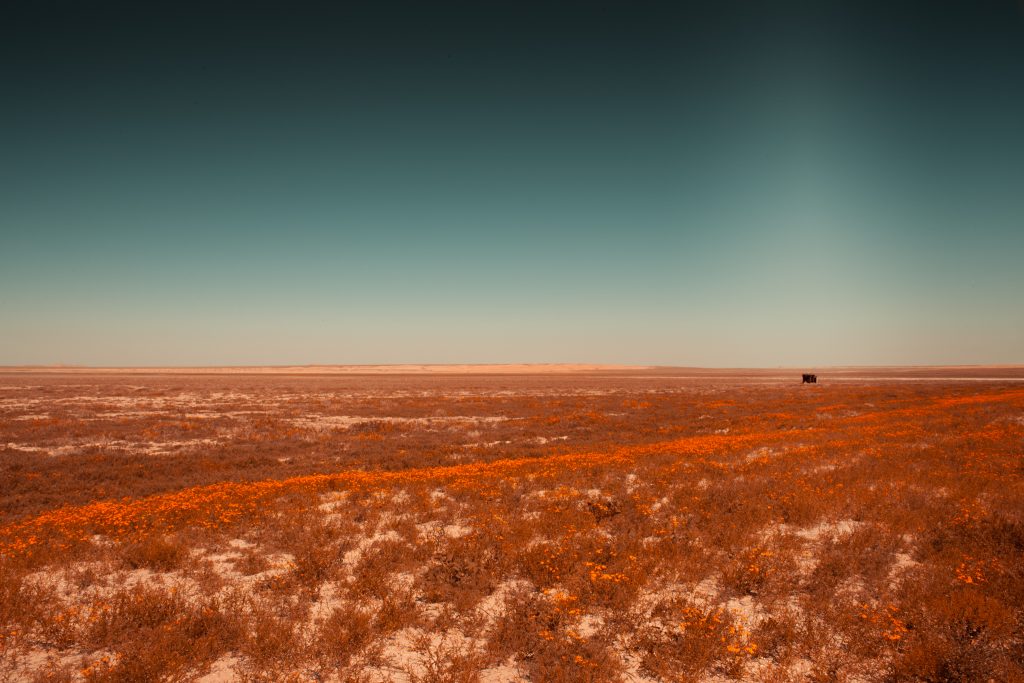 Last chance to sea - Aral Sea // Kazakhstan