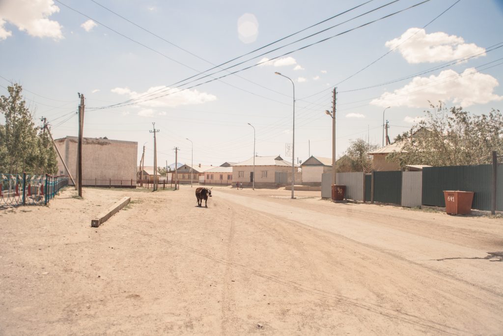 Kazakhstanoscopia - La Dent de L'Oeil - Contemporary photography by hélène Veilleux # Kazakhstan# eurasia # unplace # streetphotography #aralsk #photoreport