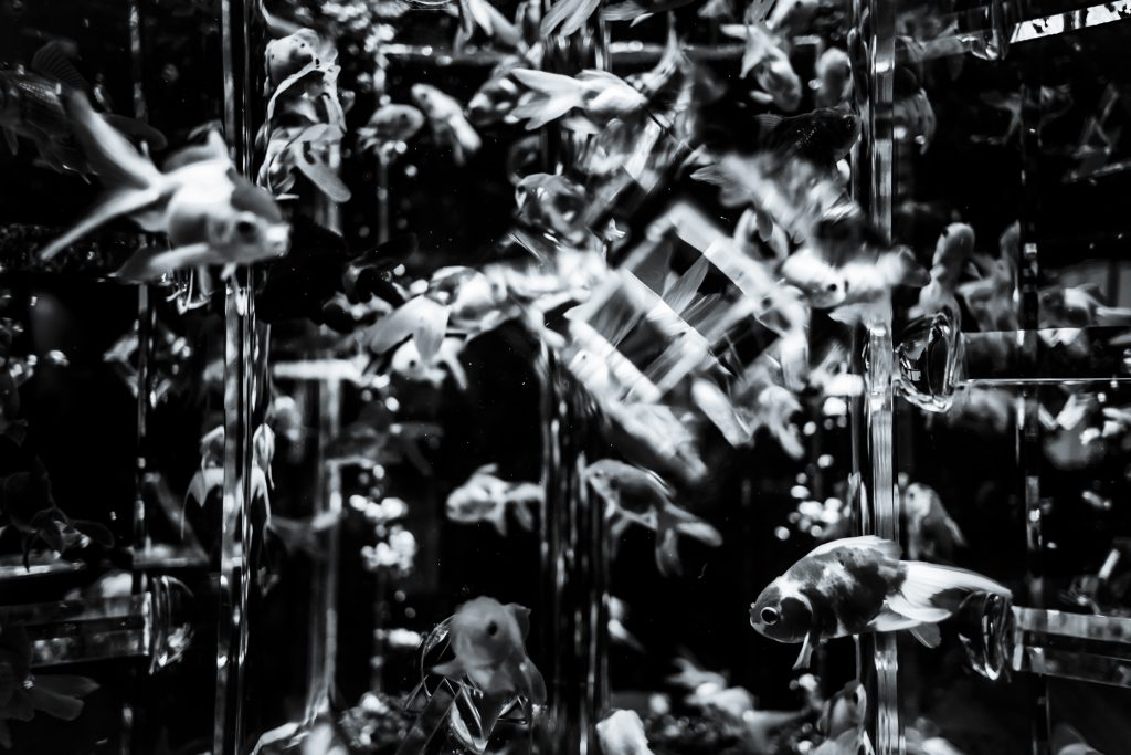 TATEMONO – VERTICAL CITY