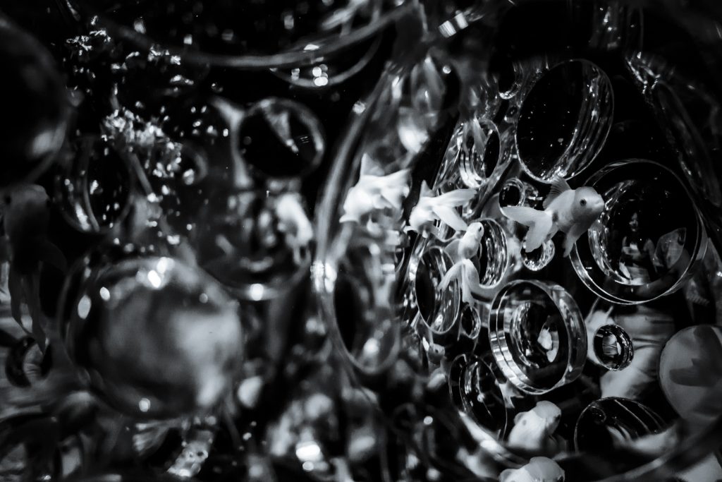 helene_veilleux-8-39