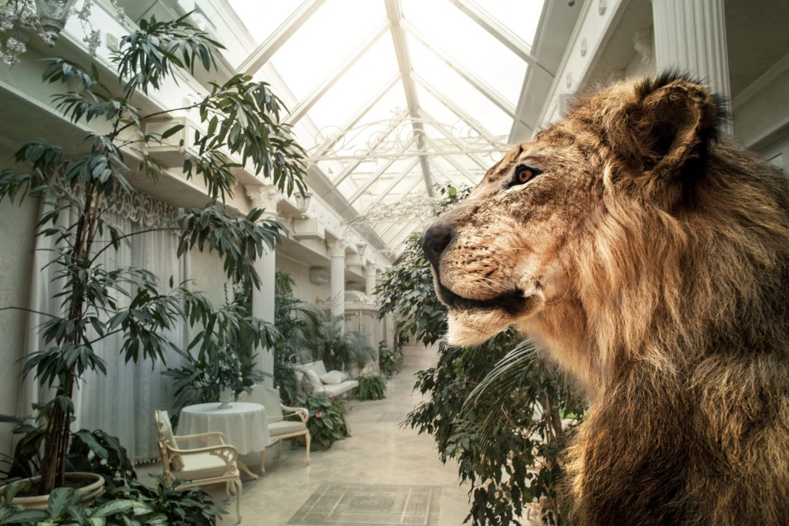 Межигір’я – A certain taste for indecency // Ukraine