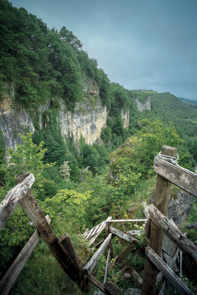 27027146800_85e7813c30_k(1)