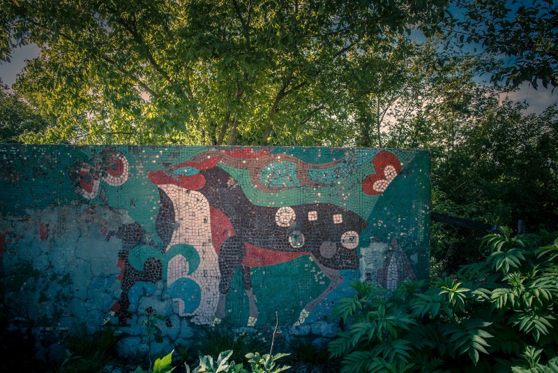 Soviet mosaic lost in the green // Georgia – La Dent de L’Oeil – Contemporary photography by Hélène Veilleux – #georgia #art #urbex #soviet #mosaic #chicken