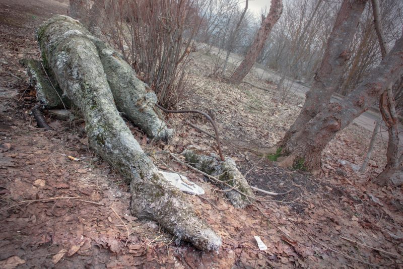 Obsolete body // Georgia - La Dent de L'Oeil - Contemporary photography by Hélène Veilleux - #urbex #decay #soviet #monument #caucasus #georgia #sakartvelo #concrete