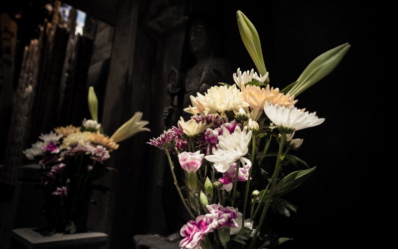 The “Throw-in” Temple // Japan