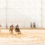 Kök-börü // // Kyrgyzstan - La Dent de L'Oeil - Contemporary photography by hélène Veilleux #nomadgames #horse #goatpolo #silkroad #tiltshift