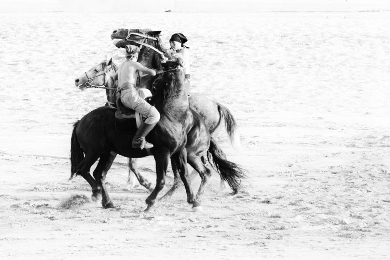 Er Enish - Horse wrestling // Kyrgyzstan - La Dent de L'Oeil - Contemporary photography by hélène Veilleux #nomadgames #horse #monochromephotography