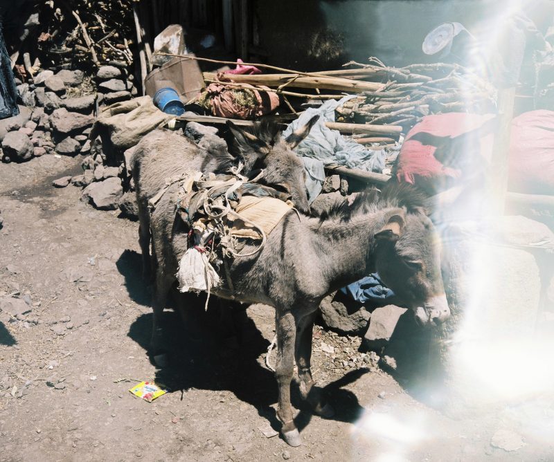 Lalibela Market // Ethiopia - La Dent de L'Oeil - Contemporary photography by Hélène Veilleux #Ethiopia #Market #Analog #PlaubelMakina67