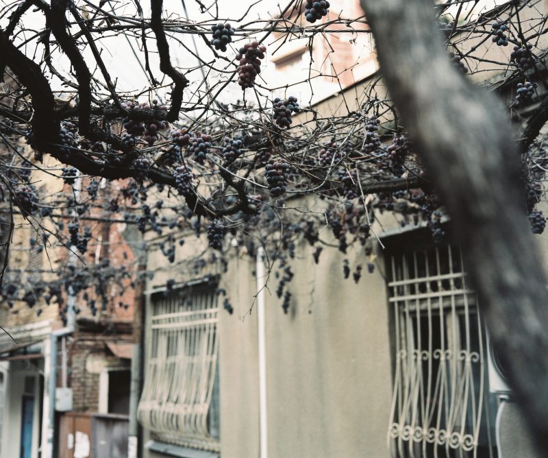 Urban grapes harverst // Tbilisi // Georgia - La Dent de L'Oeil - Contemporary photography by Hélène Veilleux #Sakartvelo #Diary #Urban #PlaubelMakina67