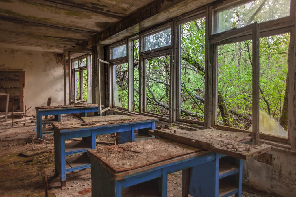 Silence of the zone Belarus exclusion Zone - Polesie State Radioecological Reserve tour // Belarus