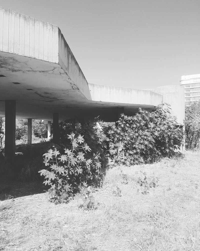 oscar-niemeyer-s-tripoli-fairground_48904369717_o