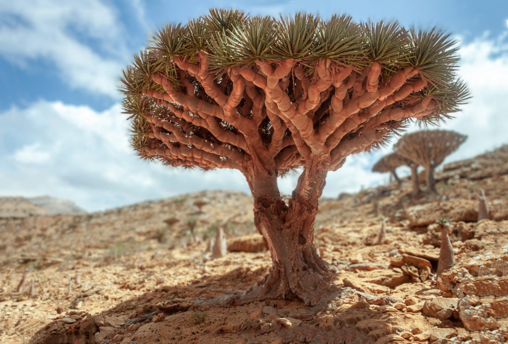 IMG_6814-HDR-Modifier-Modifier