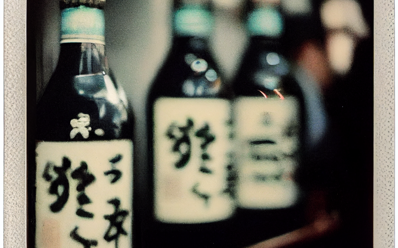rookieCookie_polaroid_by_nobuyoshi_araki__drunk_salarymen_figth_26bc815a-53e6-4dde-b07a-1304774364ee
